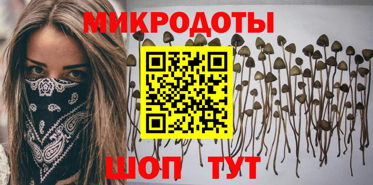 Псилоцибиновые грибы Psilocybe  Вход с VPN  Псилоцибиновые грибы Cubensis  закладки  Можайск 